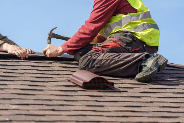 Best Roof Gutter Cleaning  in Waverly, VA