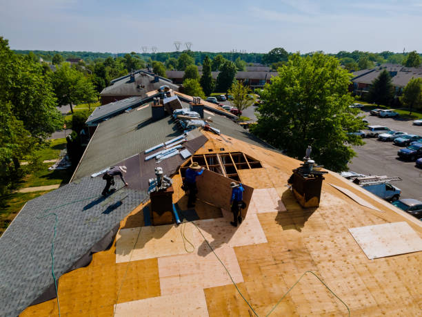 Roof Installation Near Me in Waverly, VA