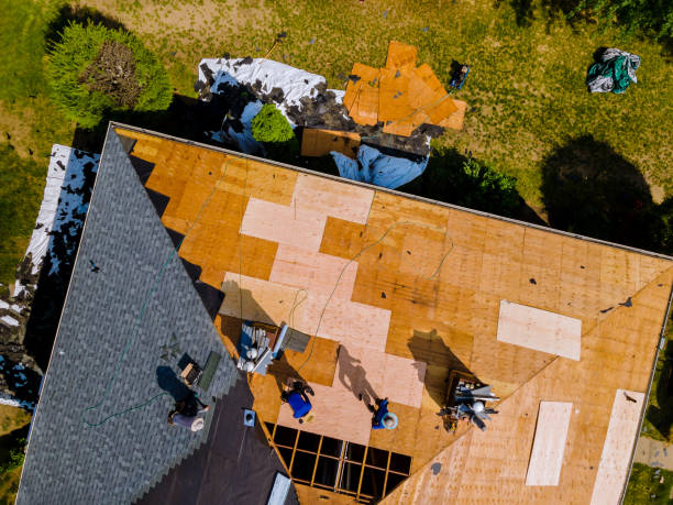 Best Roof Maintenance Services  in Waverly, VA