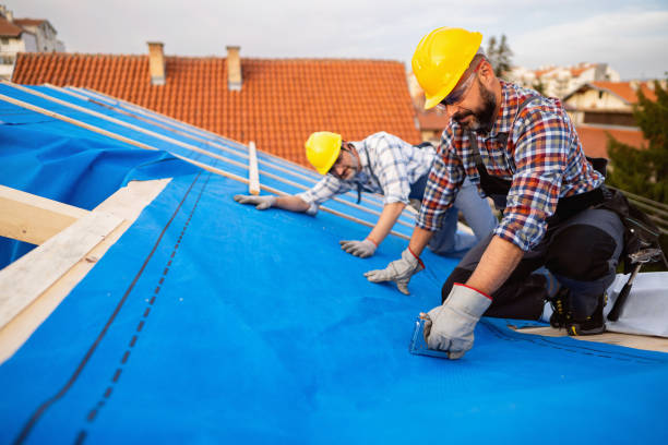 Best Storm Damage Roof Repair  in Waverly, VA