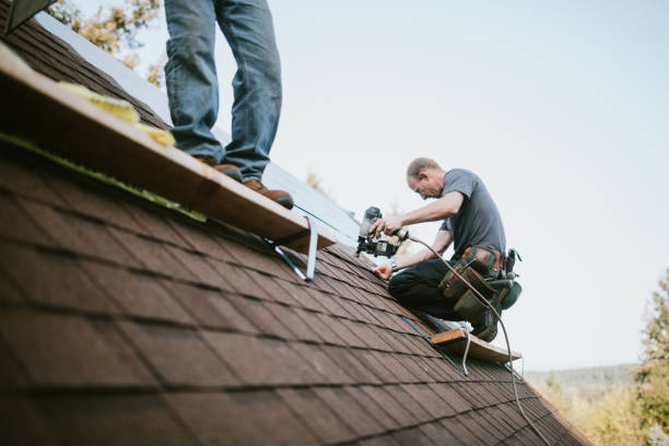 Best New Roof Installation  in Waverly, VA