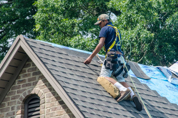 Quick and Trustworthy Emergency Roof Repair Services in Waverly, VA